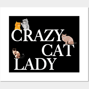 Crazy Cat Lady Posters and Art